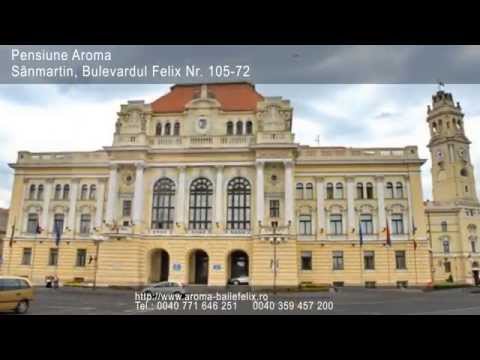Pensiune Baile Felix 1 Mai Oradea OFerte CAzare hotel Vile