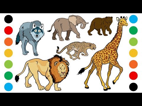 Wild Animals with Sounds Part1 Coloring Pages for Kids | Digital Coloring