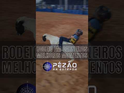 Melhores montarias da final do rodeio em carneiros de Montividiu - Goiás