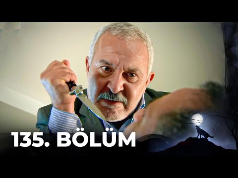 Kurtlar Vadisi Pusu - 135. Bölüm FULL HD