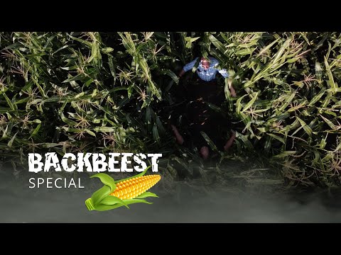 LEMKEN Azurit 9 Delta-Row und Maisernte 🌽 | BACKBEEST SPECIAL Rückblick
