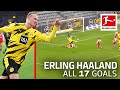 Erling Haaland - 17 Goals in Only 18 Bundesliga Games