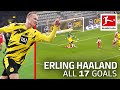 Erling Haaland - 17 Goals in Only 18 Bundesliga Games