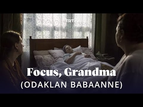 Focus, Grandma (Odaklan Babaanne) | Fragman