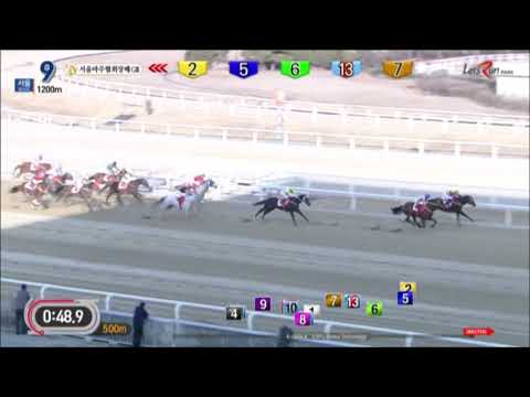 SROA Chairman's Cup 2019 - Silver Wolf