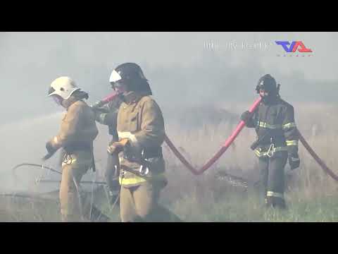 Выпуск программы “День” от 21 мая 2024г.