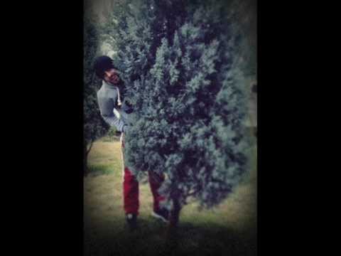 VaKa aKa iNTiSaH - Yesil Cennetim [2013] Sözleriyle!