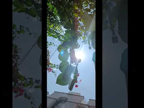 Christopher Nolan movie|#aesthetic #cinematic #instareels #christophernolan #trendingreel #inception