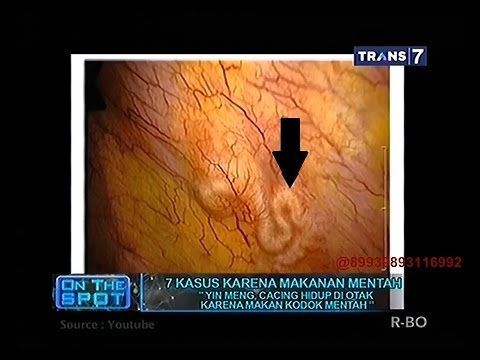 Aplikasi jet berang-berang di potensi suatu Membeli palu Simferopol torus