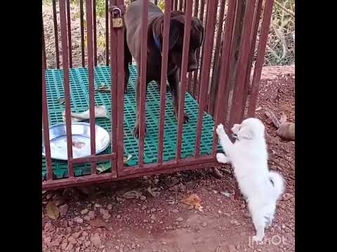 Leo&kuchusss.🥰🐶🥰