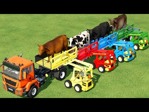 TRANSPORT OF COLORS ! COW TRANSPORTING to SELLING w/ MINI LOADERS ! Farming Simulator 22