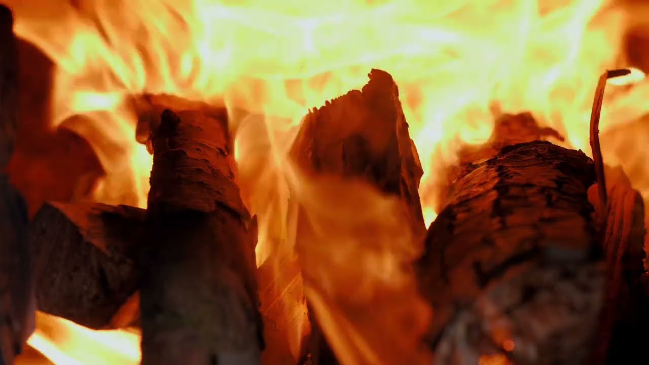 At the end of the year and the beginning of the year - TRAILER