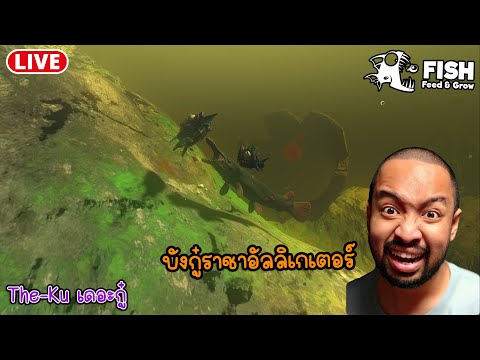 [ Live ]🔴 พี่ใหญ่กลับมาแล้ว ♥ : Feed and Grow: Fish 04-12-68