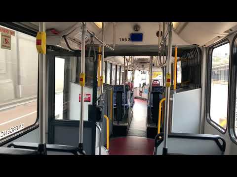 STA Sydney m/o 1662 - Volvo B12BLEA (ZF)