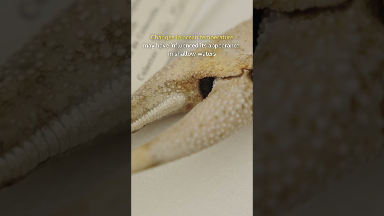 May 29, 2026
