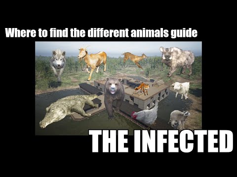 The Infected - Where and when you can find the different animals guide - See description for update