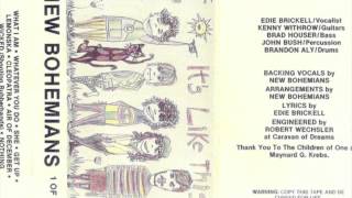 Edie Brickell \u0026 New Bohemians: \