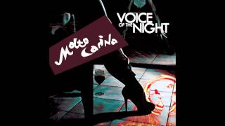 Molto Carina - Love For Sale