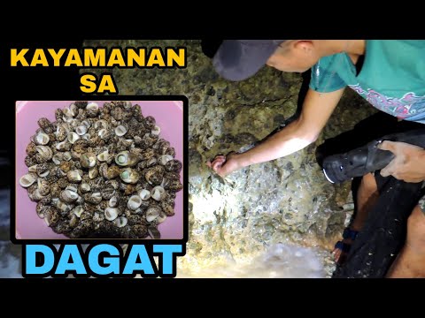 PANULO SA DAGAT SIHI CATCH AND COOK Pt.41 | GINATAANG SIHI | BUHAY PROBINSYA