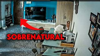 Esses Animais Sentiram Uma Presença Sobrenatural?