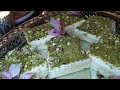 ليالي لبنان layali lubnan/patisserie moyen orient/dessert oriental /facile / rapide