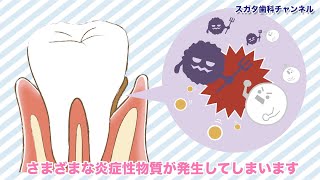 医療法人社団　スガタ歯科医院