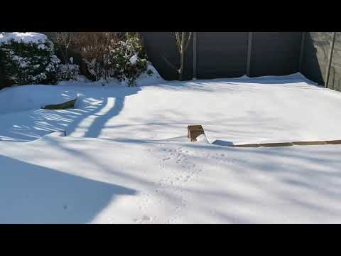 Warum gefriert heißes Wasser schneller als kaltes Wasser - Erklärung - OBSBohmte
