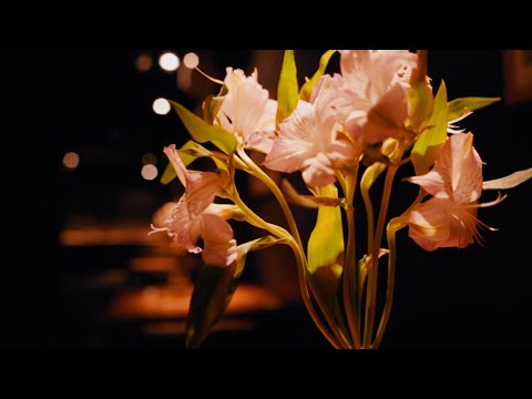 Solohpablo - #VIVO con Mundana x Niss Brown BEAT. malakkor PROD.crisshiray.       #lovemusic