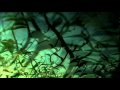DJ Shadow - The Tiger (Music Video) (HQ) 