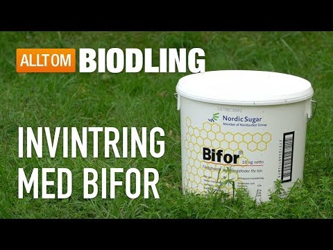 , title : 'Invintring med Bifor - Biodling'