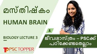 PSC Biology – Brain (മസ്തിഷ്കം) | Important &amp; Repeated Questions | Video Lecture Class | SCERT based