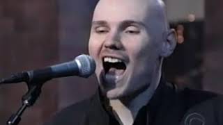 Zwan   Honestly Live on Letterman