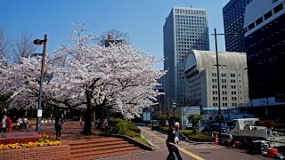 Walking in Tokyo 東京でウォーキング Прогулка по Токио