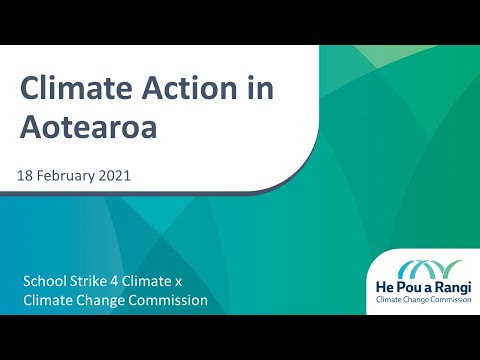 Open Zoom: School Strike 4 Climate x Climate Change Commission