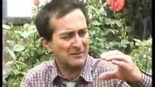 Tales From Fat Tulips Garden - Tortoise Who Climbed Mountans