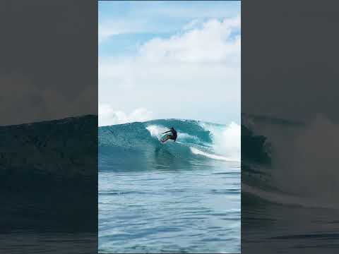 EMPTY RIGHTS! #mentawai #surfing #family #indonesia #paradise #waves