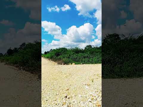 LOTIFICACION LOS LIRIOS #lotes #peten #guatemala #venta