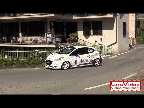 37° Rally Città di Torino 2022 Branche-Bionaz 208 VTI Rally4 - Passaggi esterni