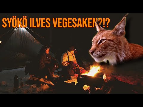 LEIRI YÖ KIREÄSSÄ PAKKASESSA -16°C  feat. VEGESAKKE | Toimiiko Uusi Makuupussi Yhdistelmä?!RETKEILY
