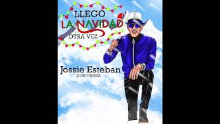 Llego La Navidad Otra Vez Lyrics English Translation