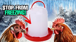 Winter Chicken Water | On AND Off Grid Solutions!