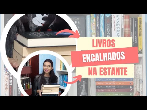 LIVROS ENCALHADOS DA ESTANTE || NICHO DE LIVROS