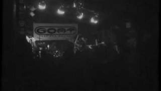 the original Bunny Gang Uprise at the Goat maxwellvision