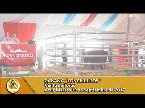 19-09-17 - VENTA DE TOROS - CABAÑA LOS CERRITOS