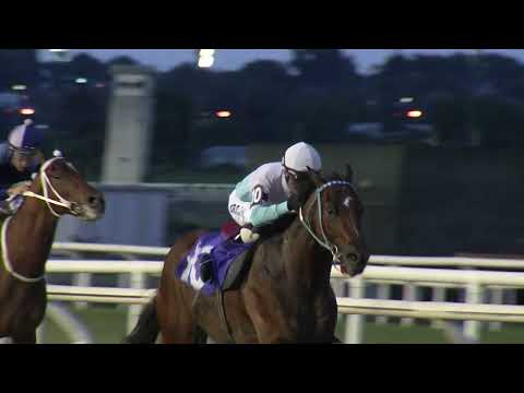 221223 c10 DR QUEGUAY