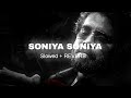 Soniya Soniya Slowed Reverb NAGARJUNA
