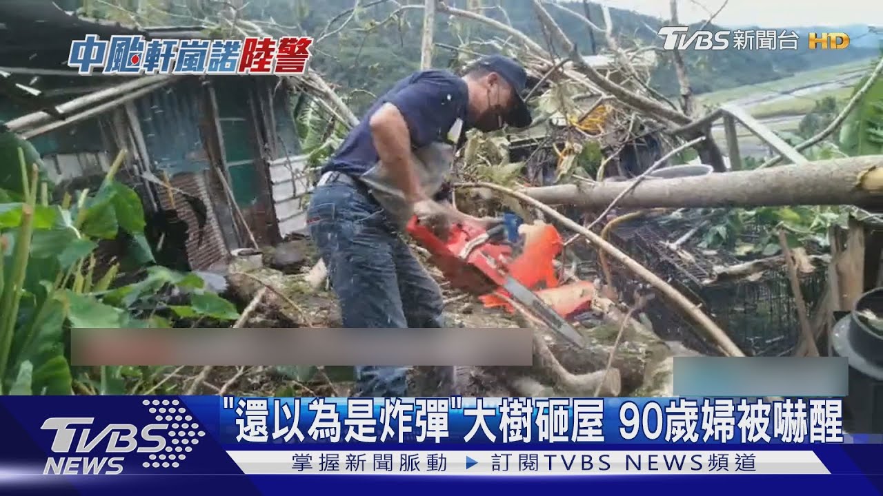 「還以為是炸彈」大樹砸屋 90歲婦被嚇醒