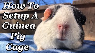 How To Setup A Guinea Pig Cage!