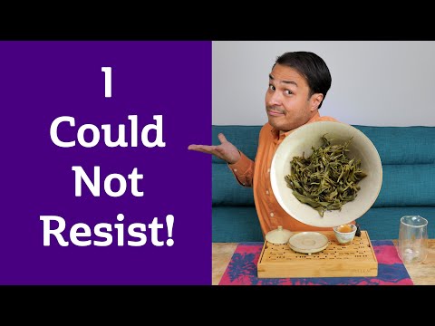 MAD HYBRID Tea from the Tribes of Guizhou - BUYI KISS