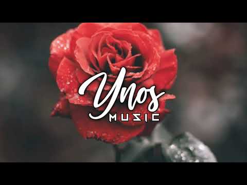 Ton sourire [[Ze Ass]]